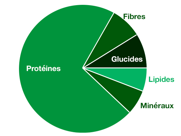 La spiruline contient des acides aminés.