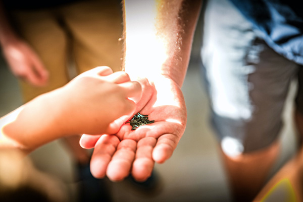 La spiruline pour les enfants